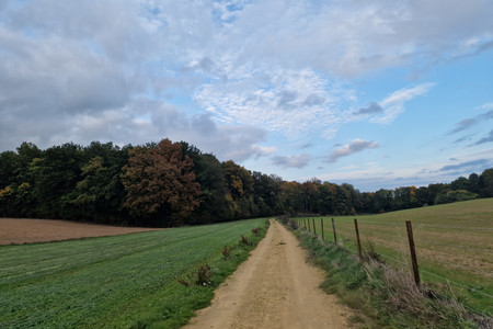 20221010_175540.jpg