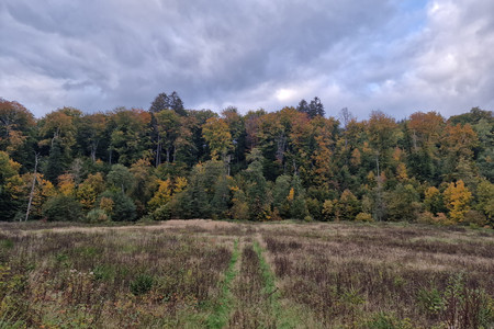 20221010_180454.jpg
