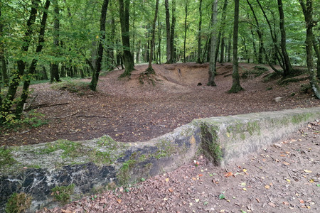 20221010_180619.jpg