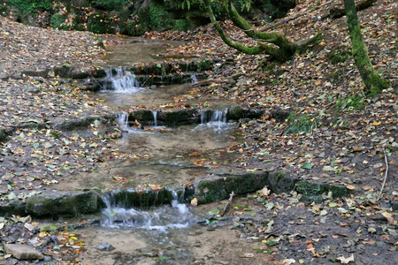 20221010_181710.jpg