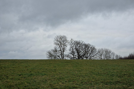 20230202_155729.jpg