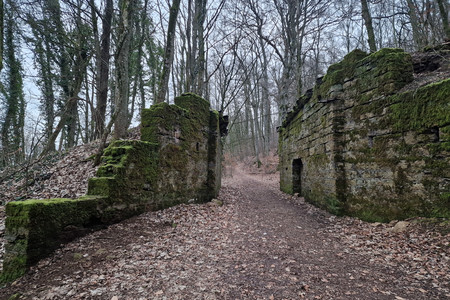 20230202_171749.jpg