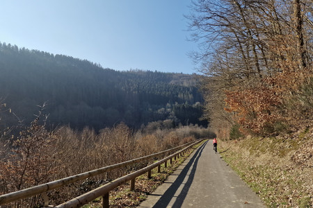 20230303_104317.jpg