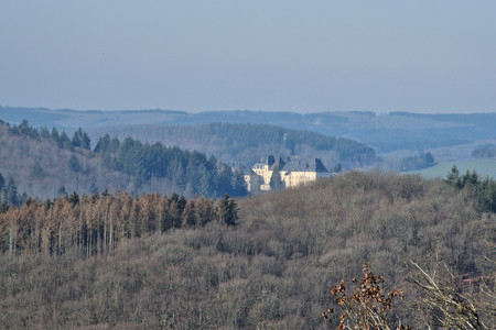20230303_110459.jpg