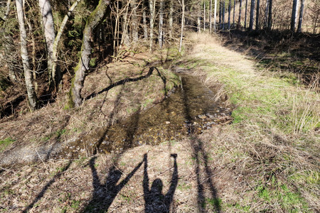 20230303_123719.jpg