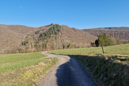 20230303_160050.jpg