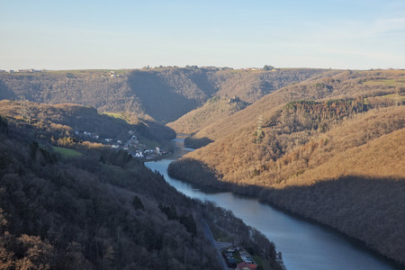 20230303_164810.jpg