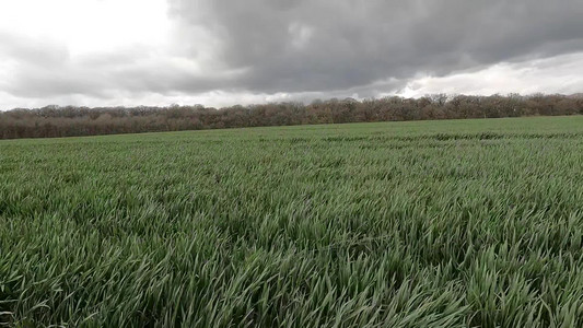 March_storms_in_the_west_of_Luxembourg.mp4