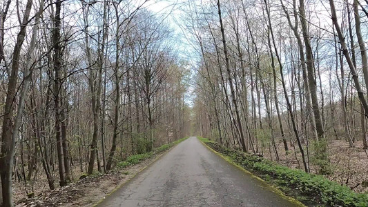 Spring_on_Piste_cyclable_dEchternach.mp4