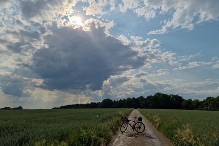 20230606_175605.jpg