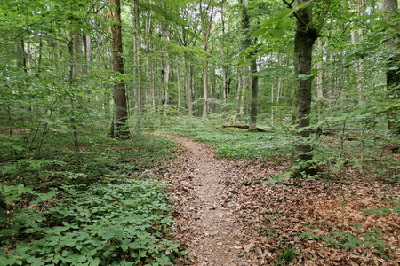 20230606_185014.jpg