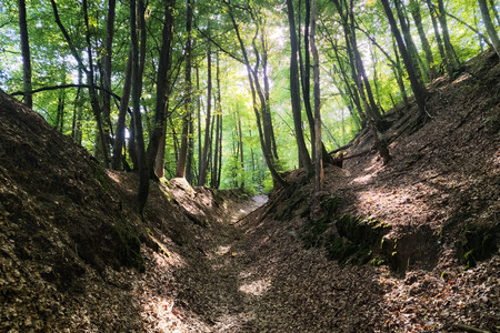 20230909_155822.jpg
