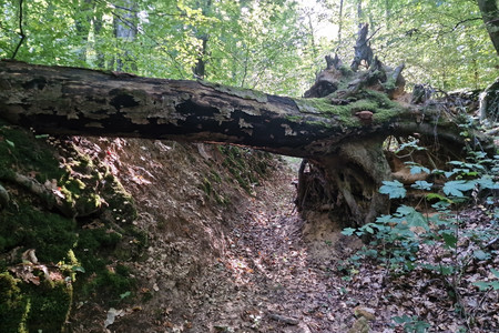 20230909_160036.jpg