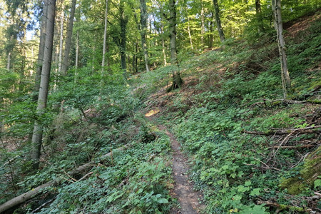 20230909_160947.jpg