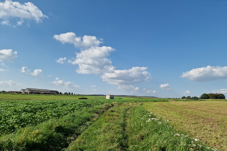 20230909_165736.jpg