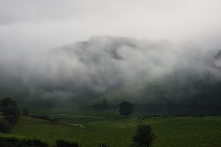 20231010_110819.jpg