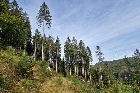 20231010_112435.jpg