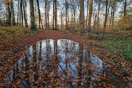 20231111_162145.jpg