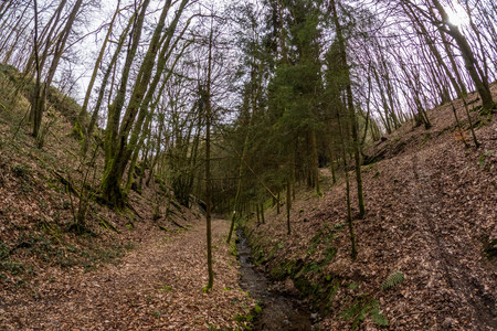 20240303_131118.jpg