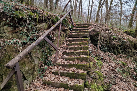 20240303_144419.jpg