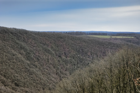 20240303_155934.jpg