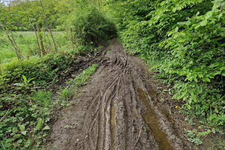 20240505_141751.jpg
