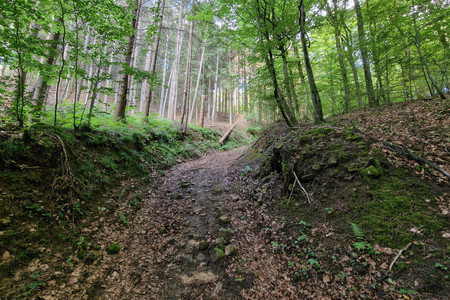 20240606_165205.jpg