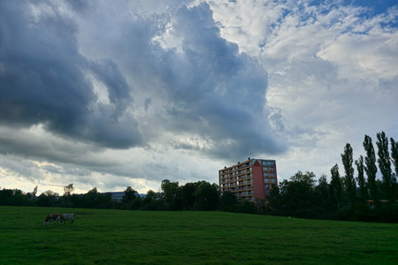 20240909_172415.jpg