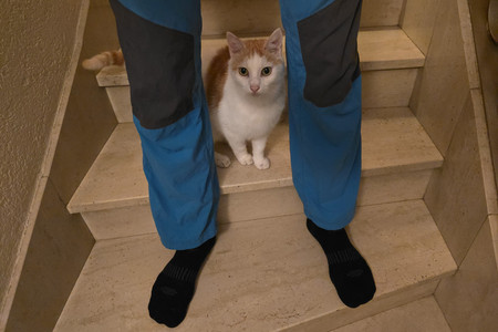 20240910_211512.jpg