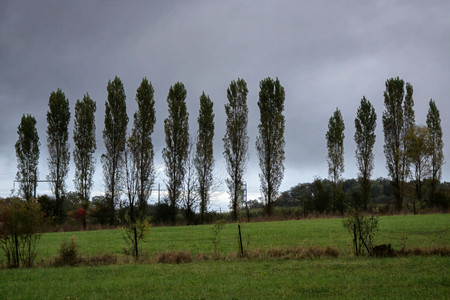20241010_183203.jpg