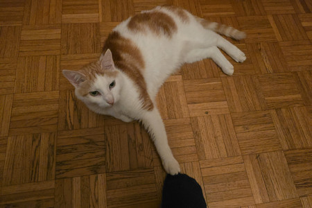 20250104_190755.jpg