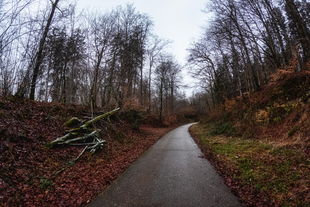 20250110_145905.jpg