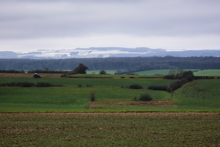 20250110_153057.jpg