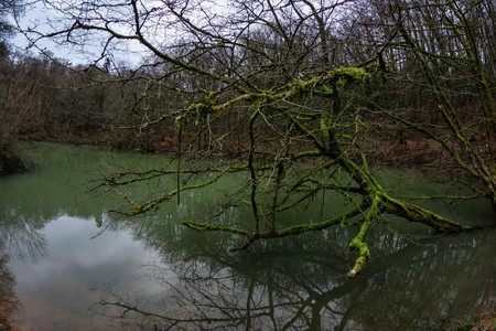 20250112_140217.jpg