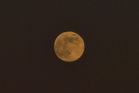 20250113_170044.jpg