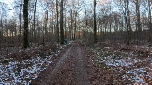 2025-01-14 Steinsel.mp4