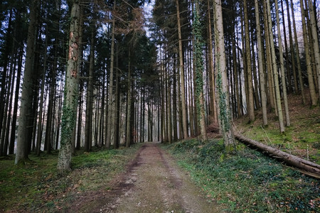 20250114_170941.jpg
