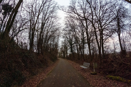 20250115_164206.jpg