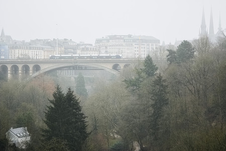 20250120_133943.jpg