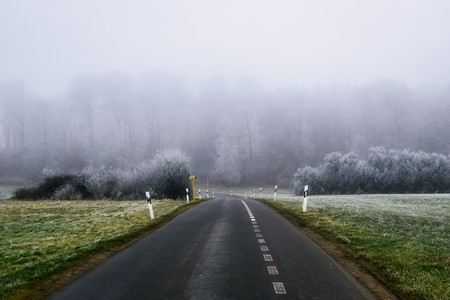 20250120_141917.jpg