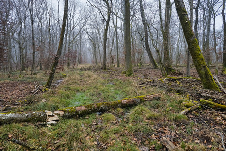 20250120_160240.jpg