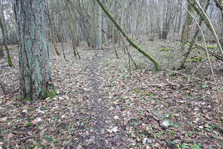 20250120_162235.jpg