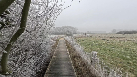 2025-01-21 Frosty Northwest.mp4