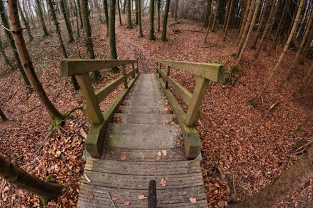 20250121_144635.jpg