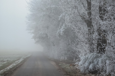 20250121_152145.jpg