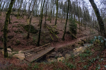20250123_155517.jpg