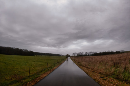 20250124_143648.jpg