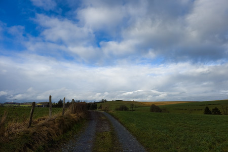 20250130_151640.jpg