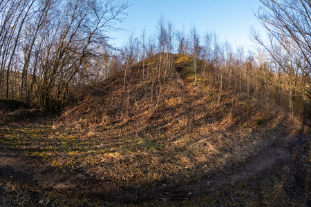 20250202_155156.jpg