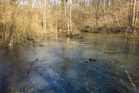 20250203_143001.jpg